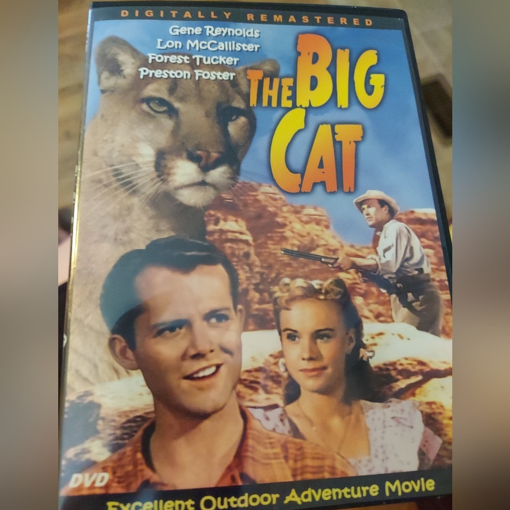 The Big Cat [Slim Case] DVD